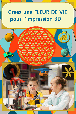 Une fleur de vie en 3D